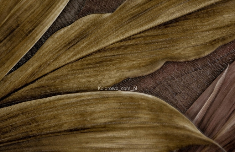 Tapeta-do-pokoju-w-LISCIE-BEZ-BRAZ-3D-ciezki-winyl-na-flizelinie-Kod-producenta-8809-06.jpg