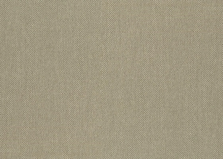 tapeta 6552 Unito Baobab