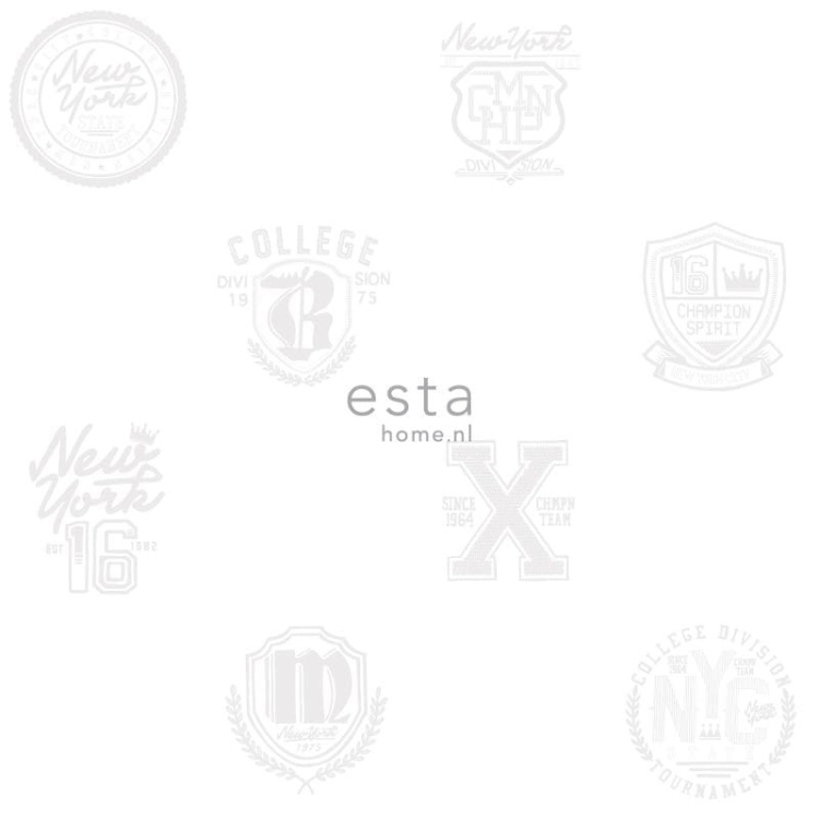 College nr 141-128805 tapeta młodzieżowa
