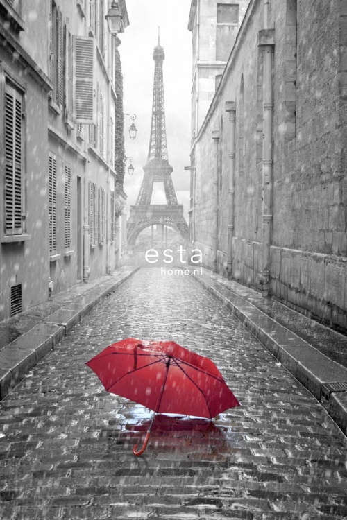FAB 158811 mural ścienny Paris black and white with red umbrella