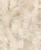 tapeta 554755