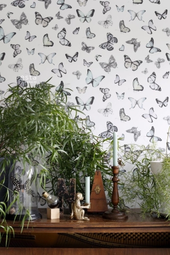 tapeta 138875 Greenhouse