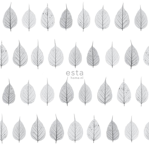 tapeta 128846 Greenhouse