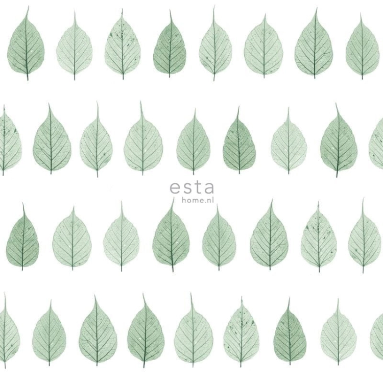 tapeta 128847 Greenhouse