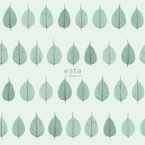tapeta 128848 Greenhouse