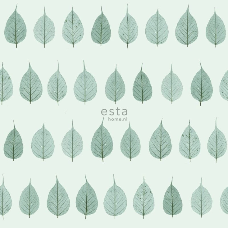 tapeta 128848 Greenhouse