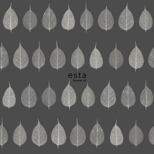 tapeta 128849 Greenhouse