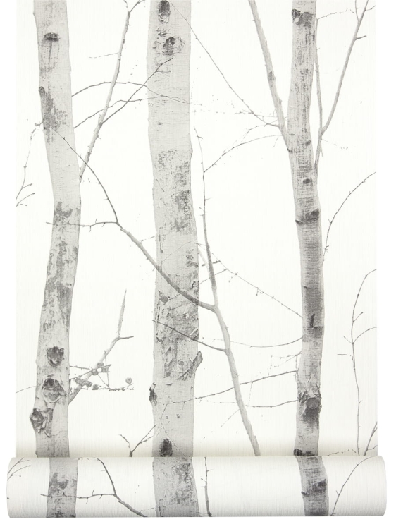 tapeta ścienna 6305-10 drzewa, las