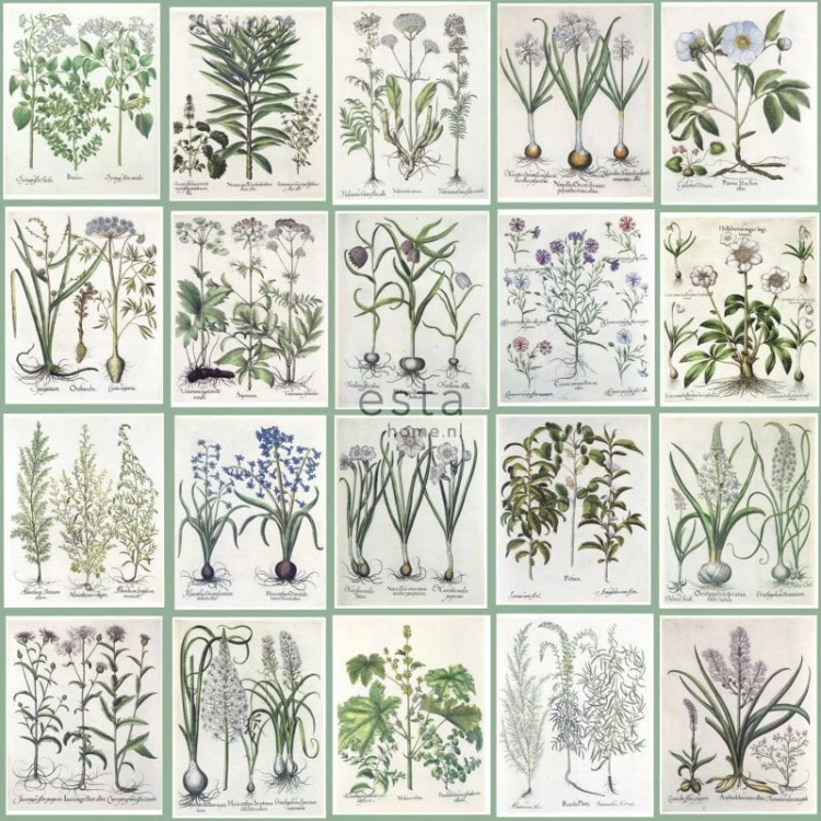 mural 158826 Greenhouse