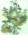 mural 158114 Greenhouse
