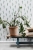tapeta 138900 Greenhouse