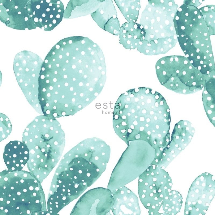 tapeta 138901 Greenhouse - zielone kaktusy