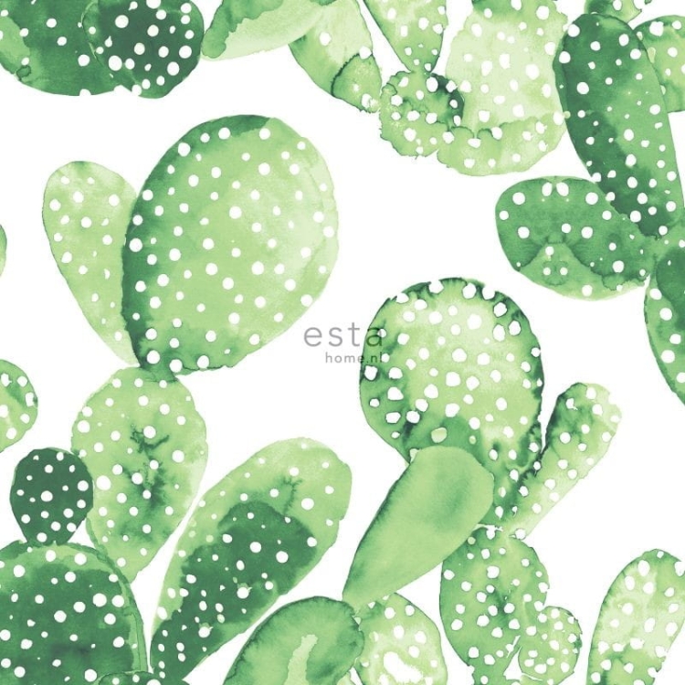 tapeta 138902 Greenhouse - zielone kaktusy