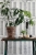 tapeta 138882 Greenhouse