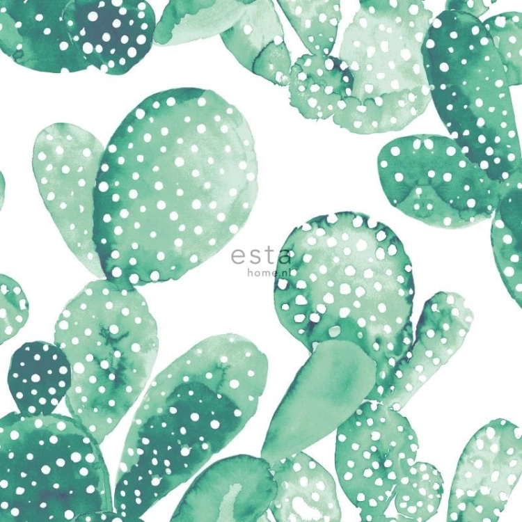 tapeta 138903 Greenhouse - zielone kaktusy