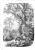 mural 158945