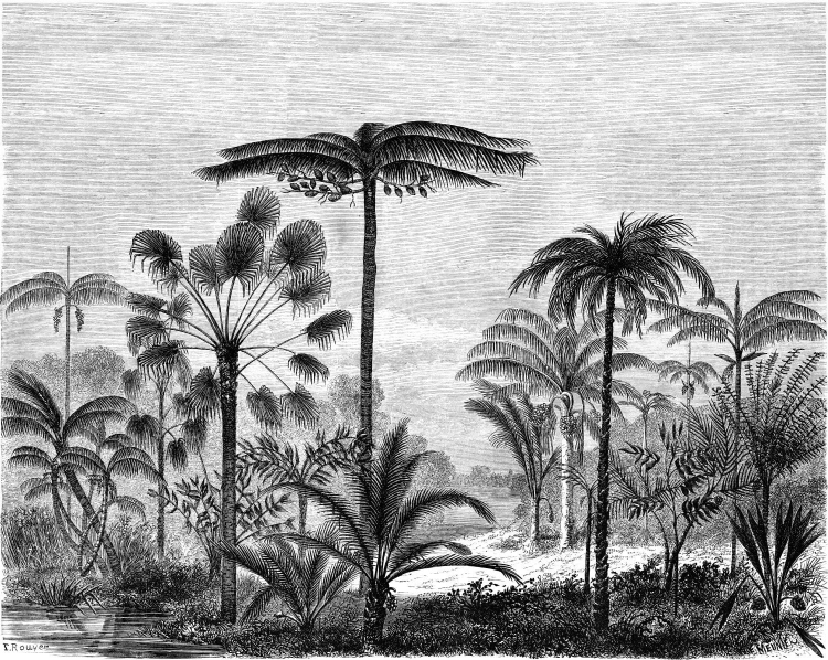 mural 158952