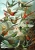 mural 158954