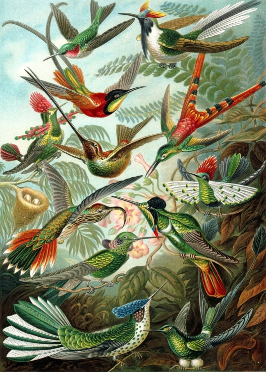 mural 158954