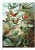 mural 158954