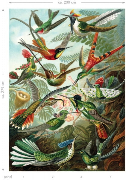 mural 158954